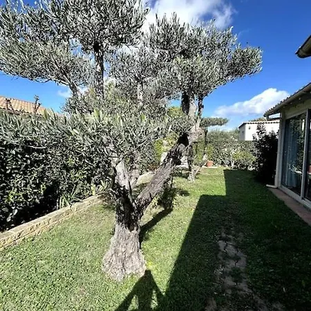 La Bleue Jardin
